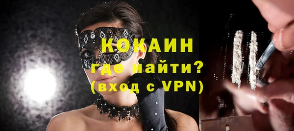 индика Няндома