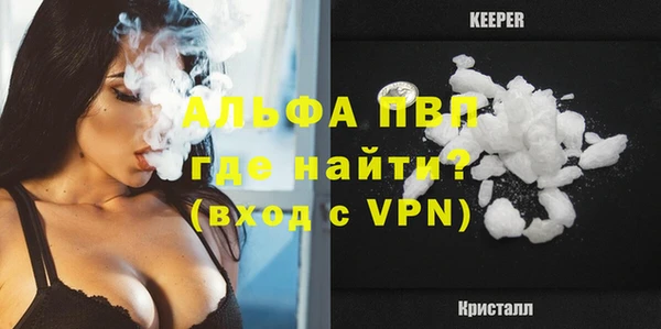 индика Няндома