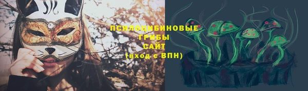 твердый Нязепетровск