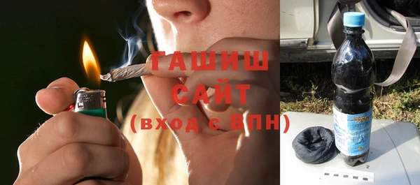 сатива Новозыбков