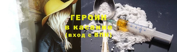 индика Няндома
