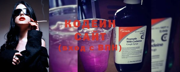 индика Няндома