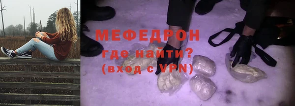 индика Няндома