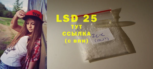 индика Няндома