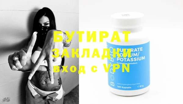 индика Няндома