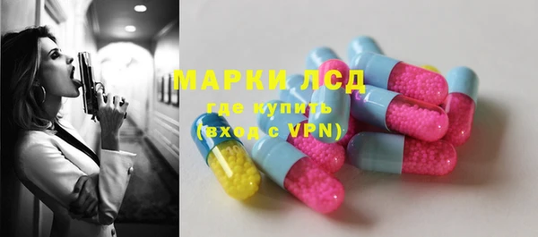 индика Няндома