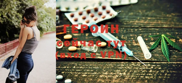 индика Няндома