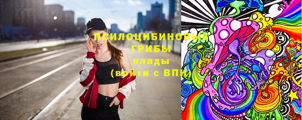индика Няндома