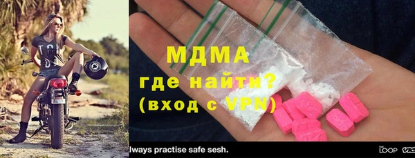 индика Няндома