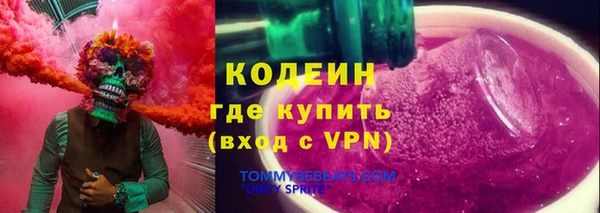 индика Няндома