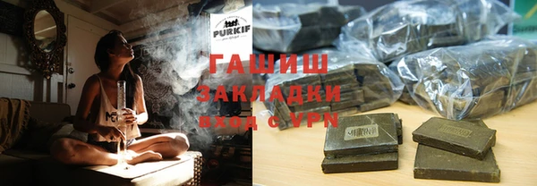 индика Няндома