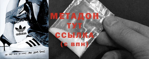 индика Няндома