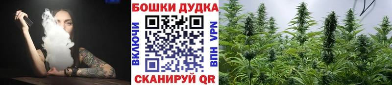 Бошки марихуана Bruce Banner  где купить   Шелехов 